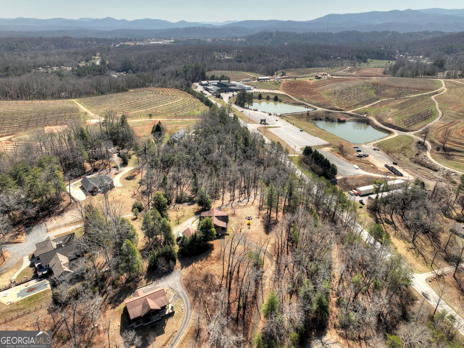 121 Cider House Lane Blue Ridge - 66
