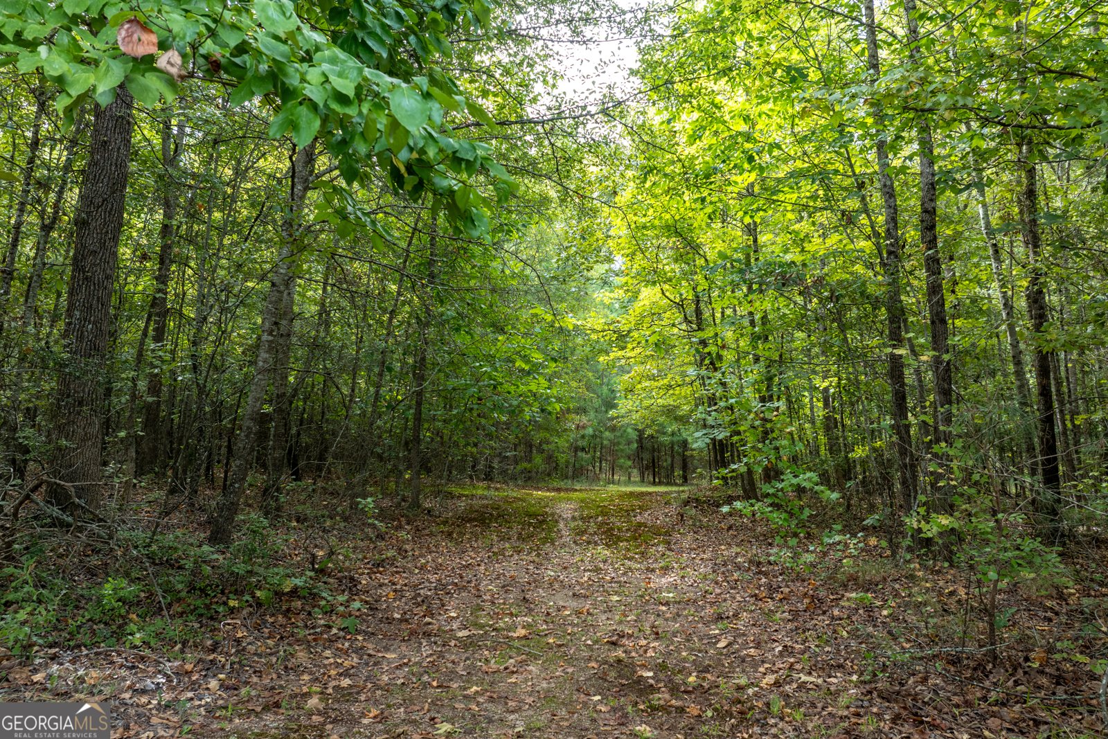 12551 Alcovy Road Covington - 28