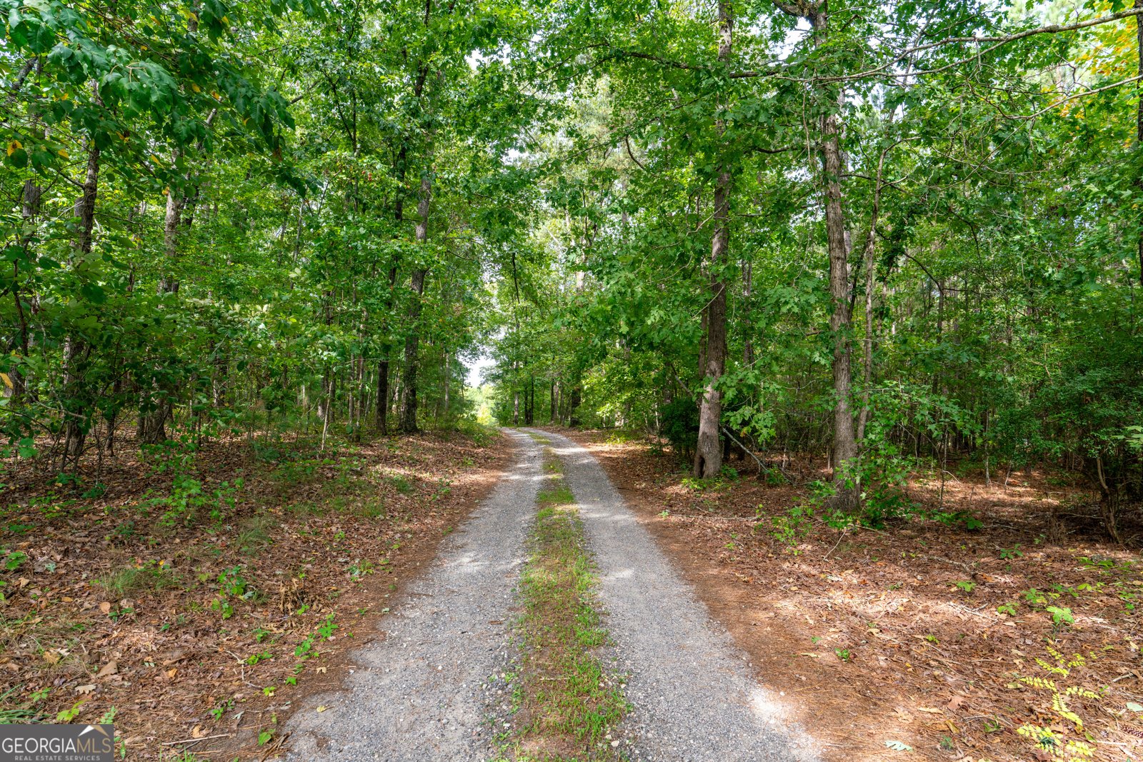 12551 Alcovy Road Covington - 30