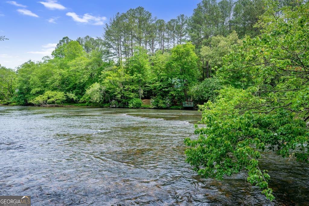 76 Fish Trap Road Blue Ridge - 59