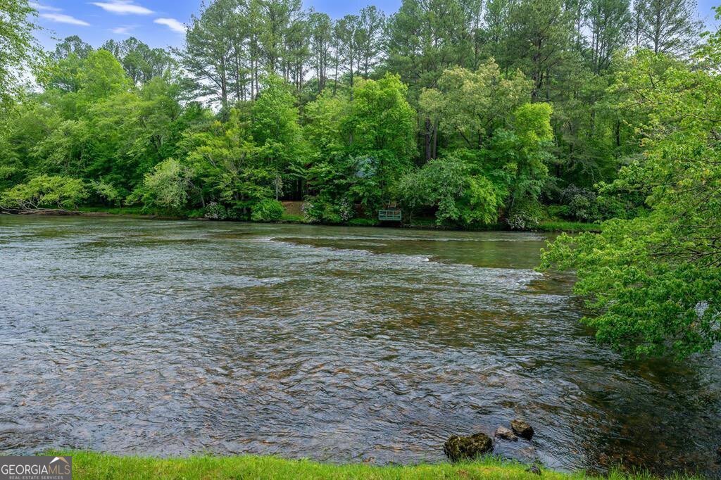76 Fish Trap Road Blue Ridge - 60