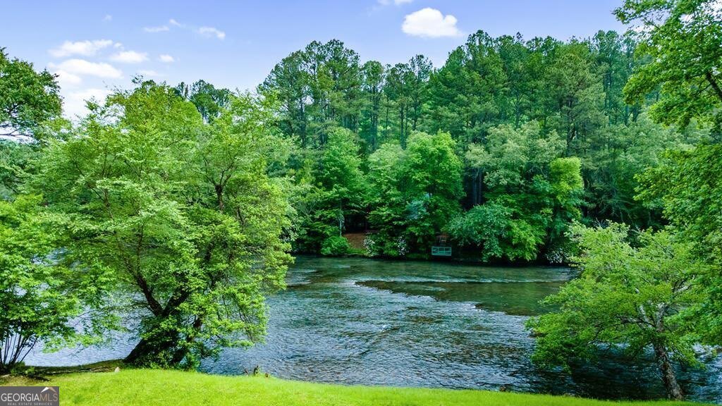 76 Fish Trap Road Blue Ridge - 61