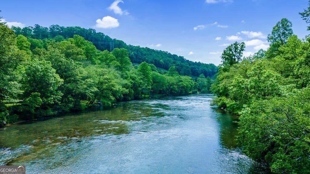 76 Fish Trap Road Blue Ridge - 63