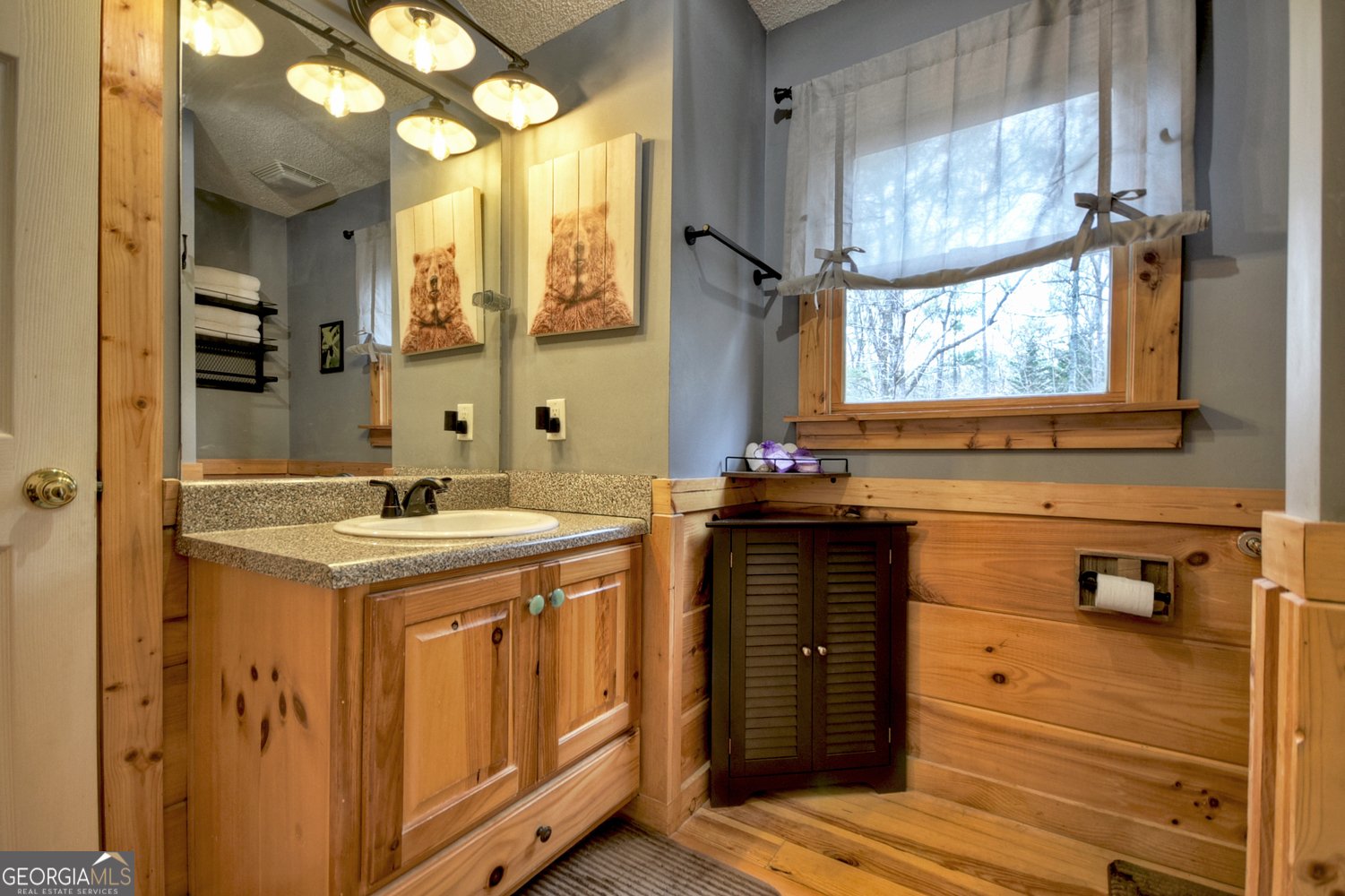 1301 Newport Drive Ellijay - 20