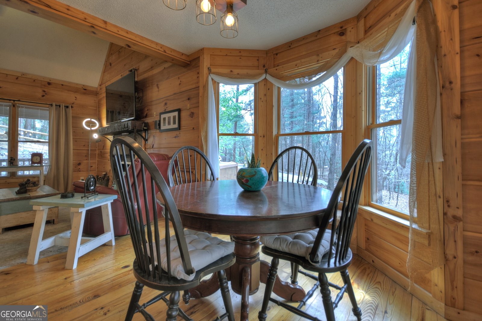 1301 Newport Drive Ellijay - 37
