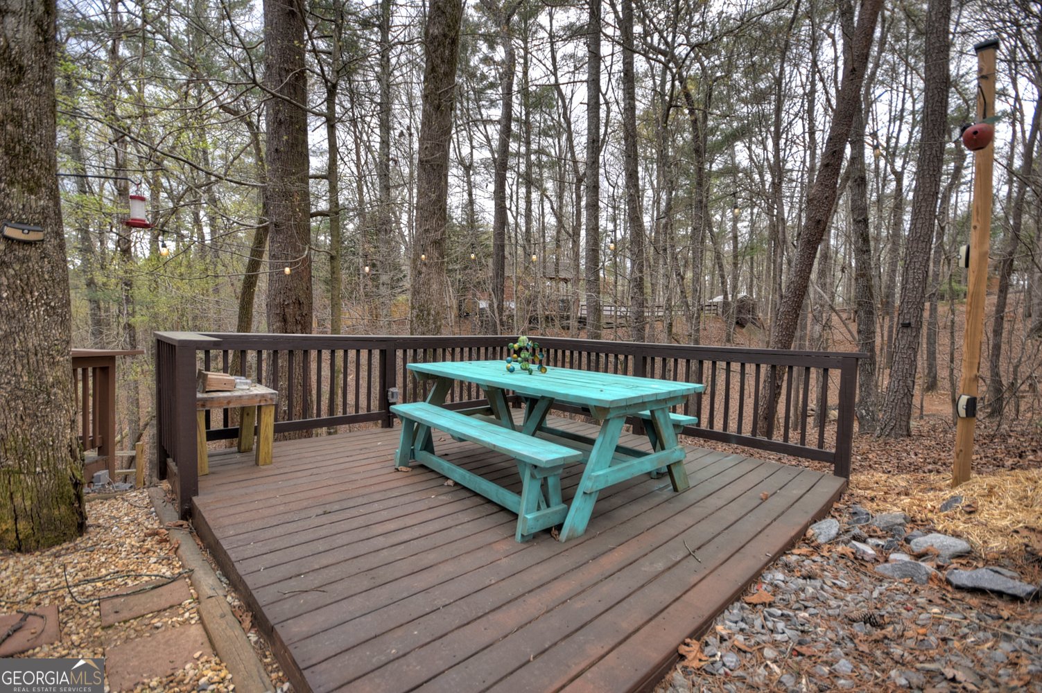 1301 Newport Drive Ellijay - 40