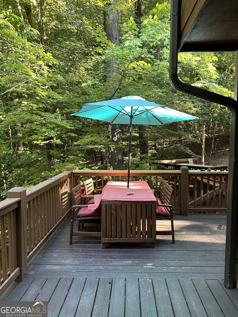 1301 Newport Drive Ellijay - 53