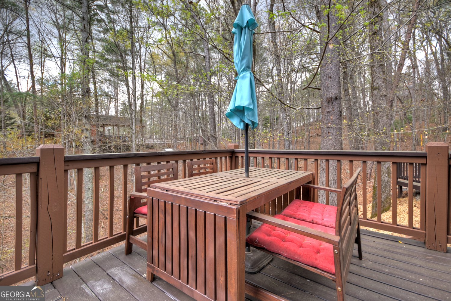 1301 Newport Drive Ellijay - 6