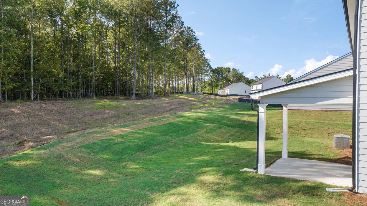 1060 Amerson Street Buckhead - 82