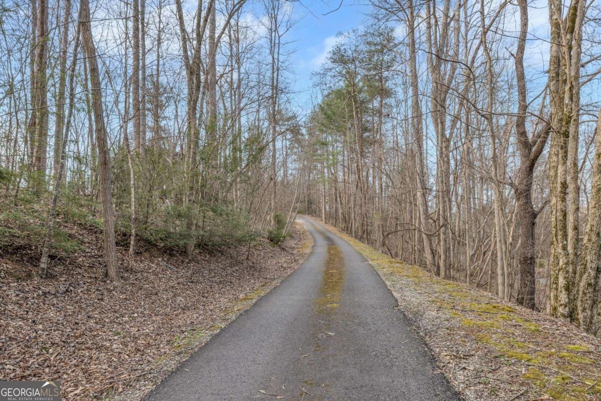 1637 Townsend Mill Road Young Harris - 14