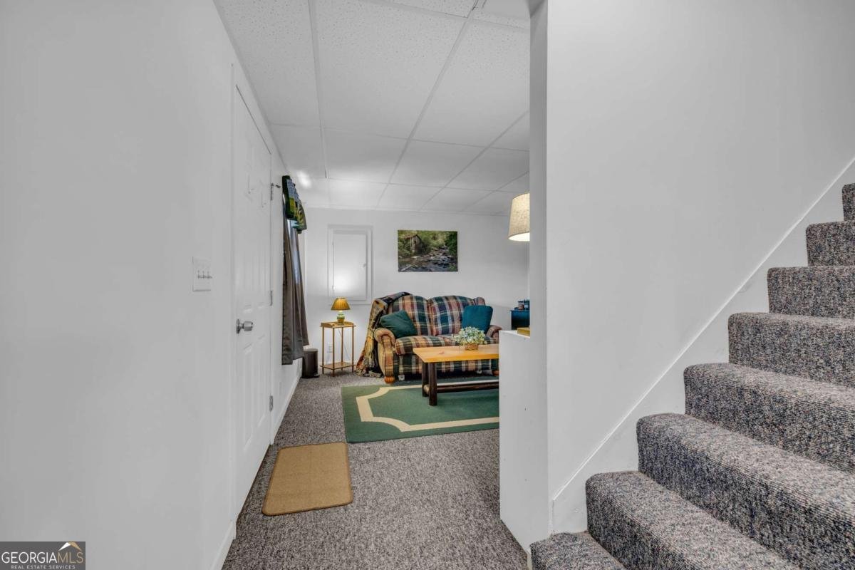 1637 Townsend Mill Road Young Harris - 28