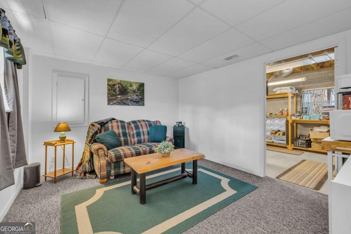 1637 Townsend Mill Road Young Harris - 29