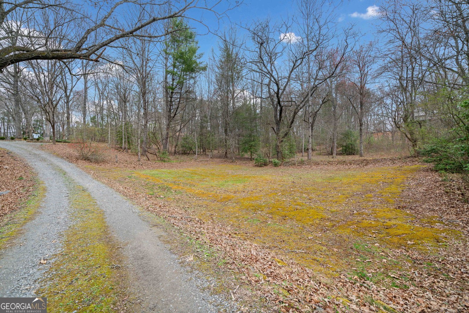 320 Highway 2 Blue Ridge - 11