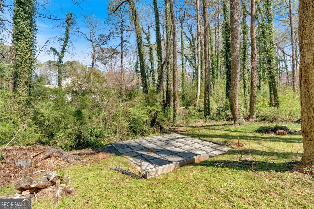 3819 Dora Drive Smyrna - 49
