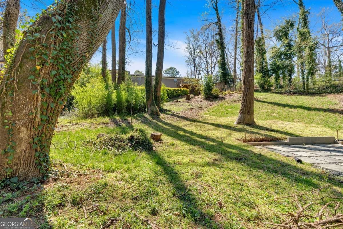 3819 Dora Drive Smyrna - 51