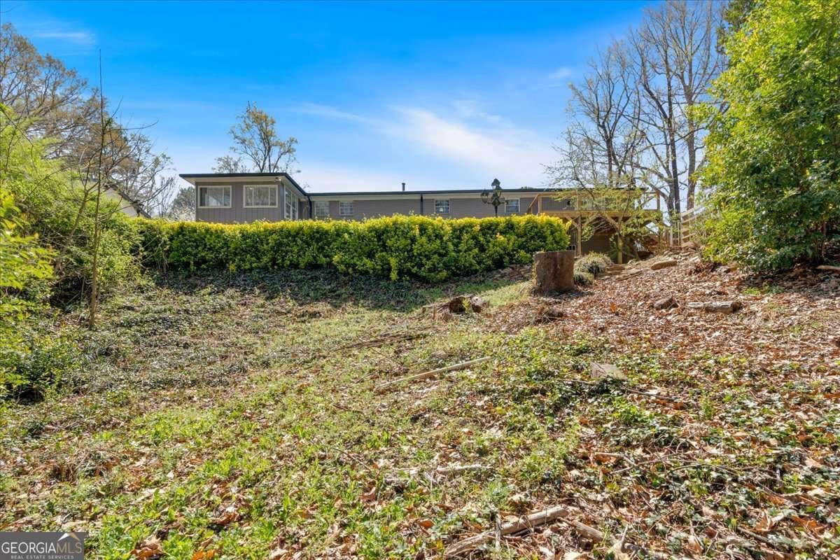 3819 Dora Drive Smyrna - 52
