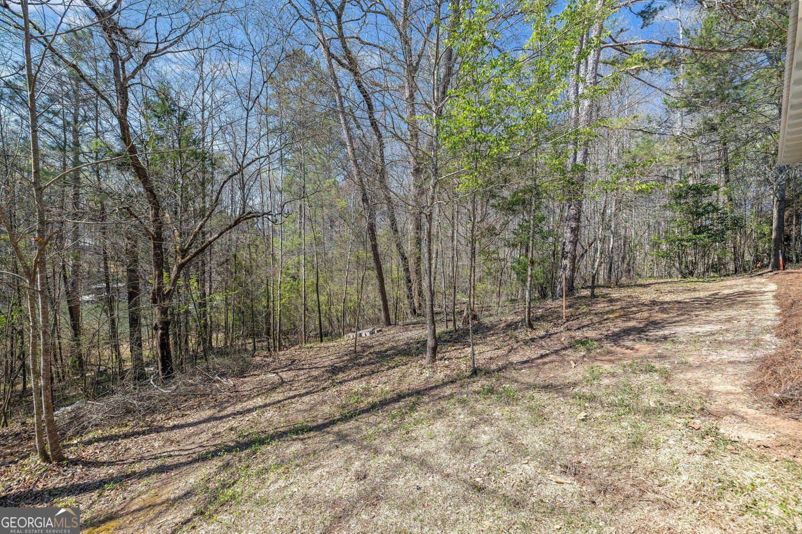 330 Lake Drive Dawsonville - 31