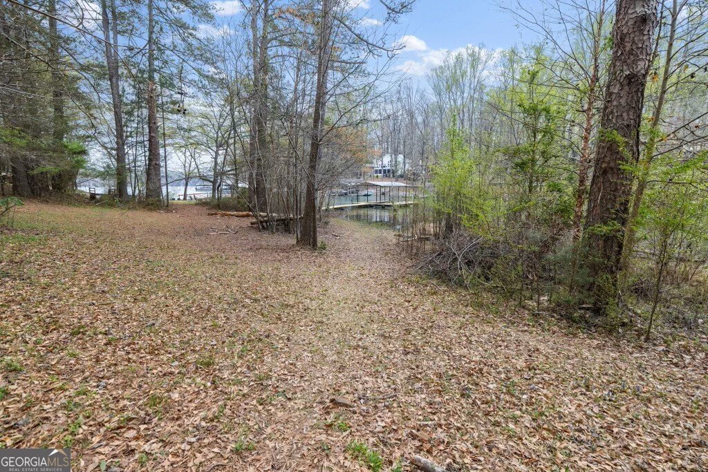330 Lake Drive Dawsonville - 35