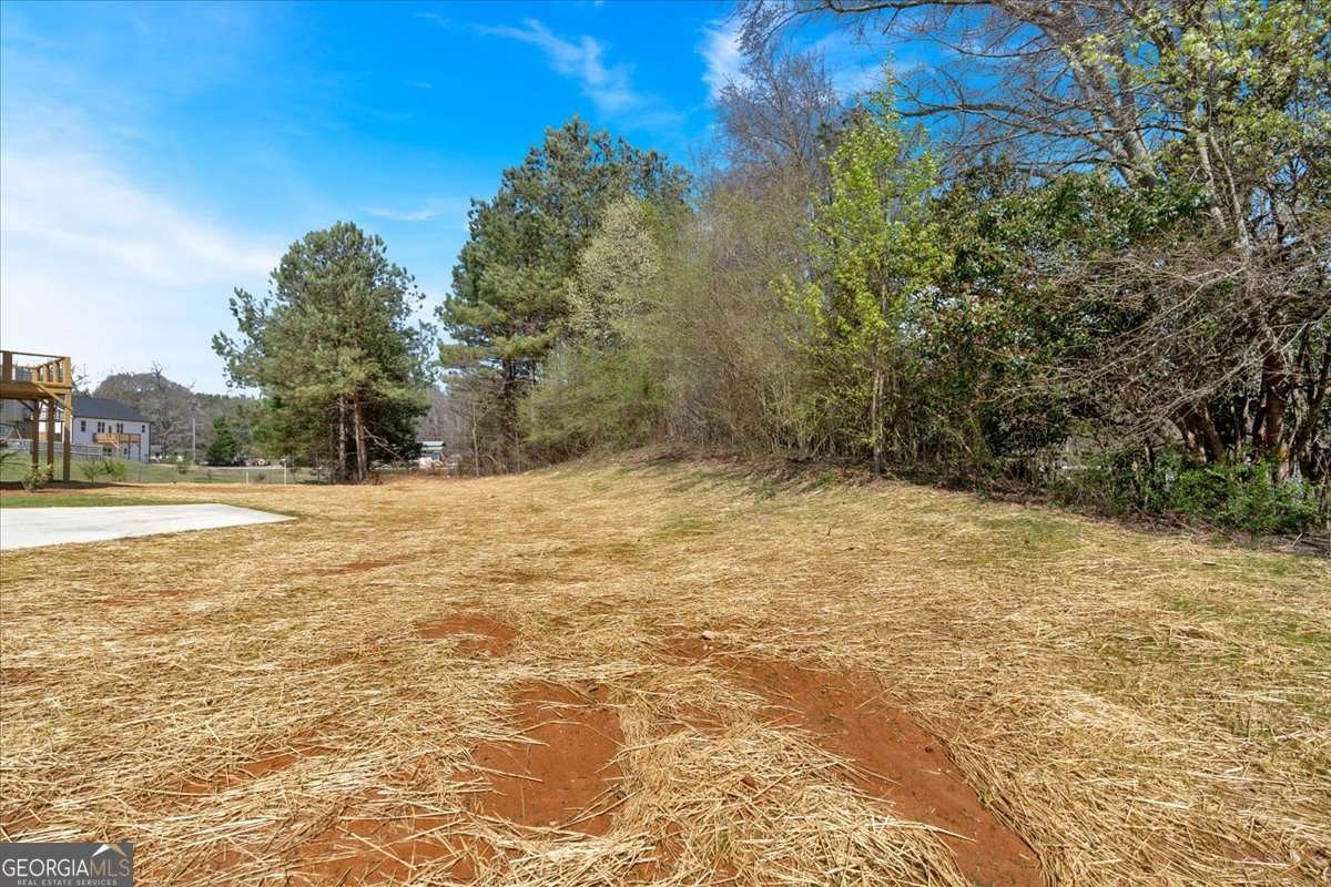 81 Bridgemill Drive Douglasville - 39
