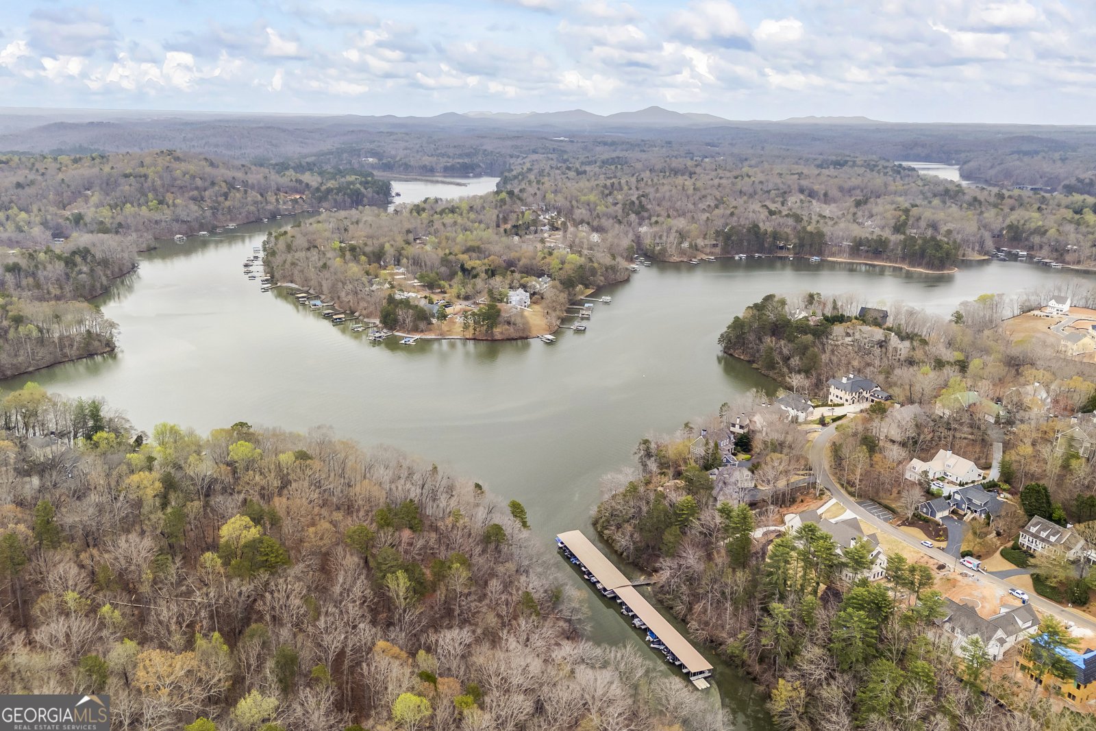 135 Scarlet Oak Lane Dawsonville - 62