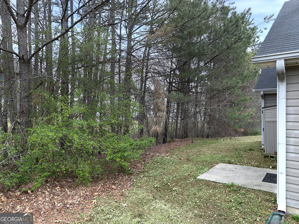 7125 Crystal Creek Place Douglasville - 27