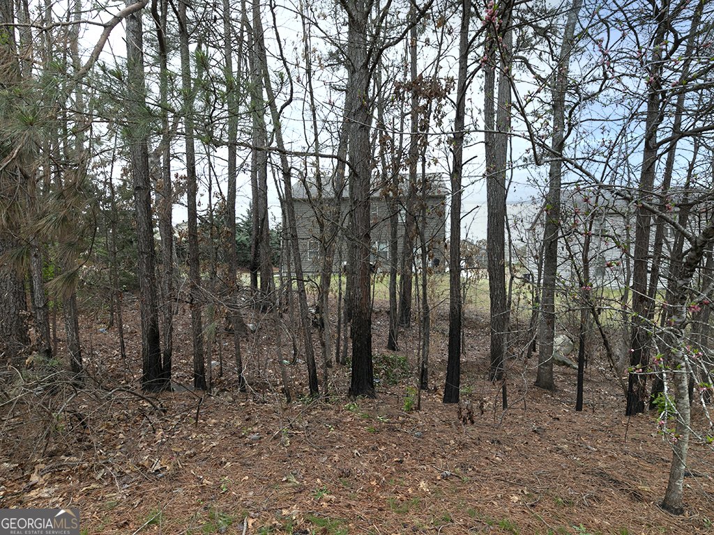 7125 Crystal Creek Place Douglasville - 28