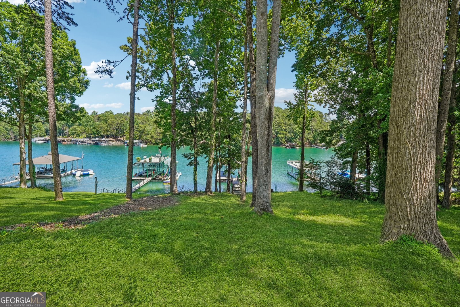 6337 Lake View Drive Buford - 36