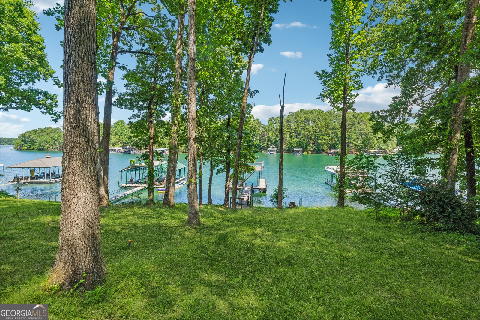 6337 Lake View Drive Buford - 44