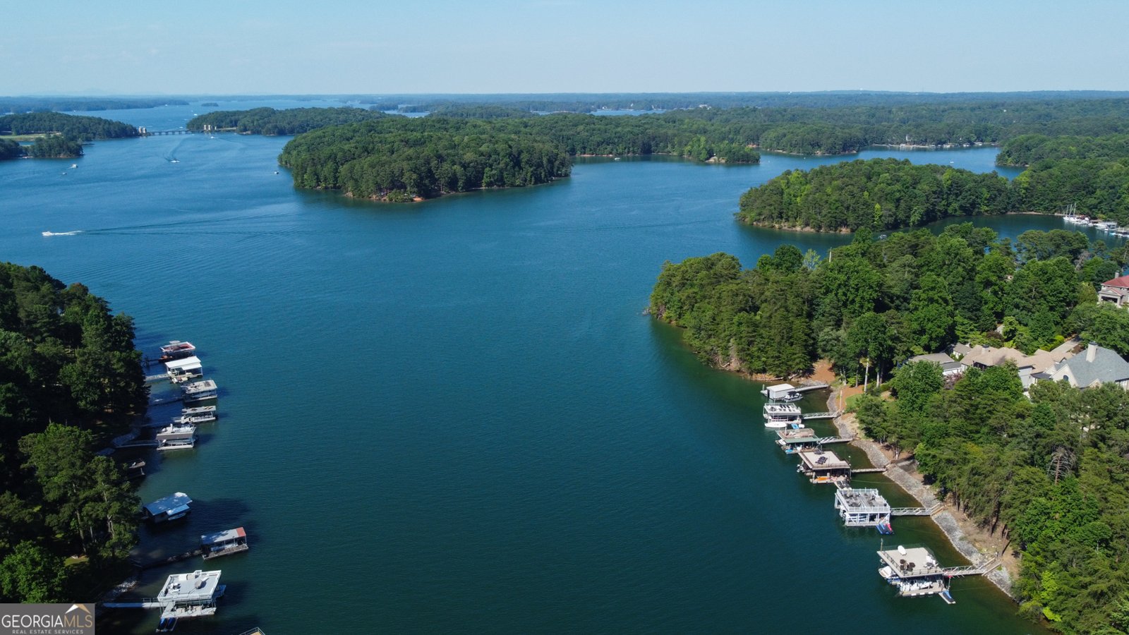 6337 Lake View Drive Buford - 47