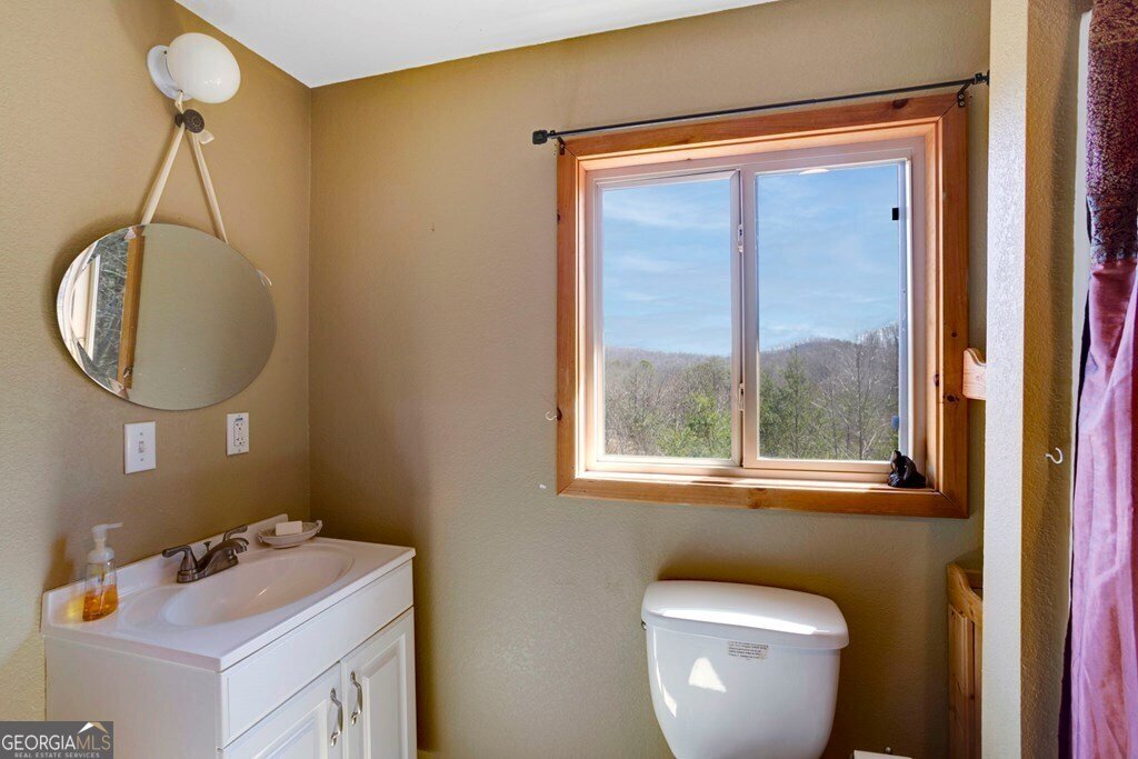 223 Redbud Lane Hiawassee - 17