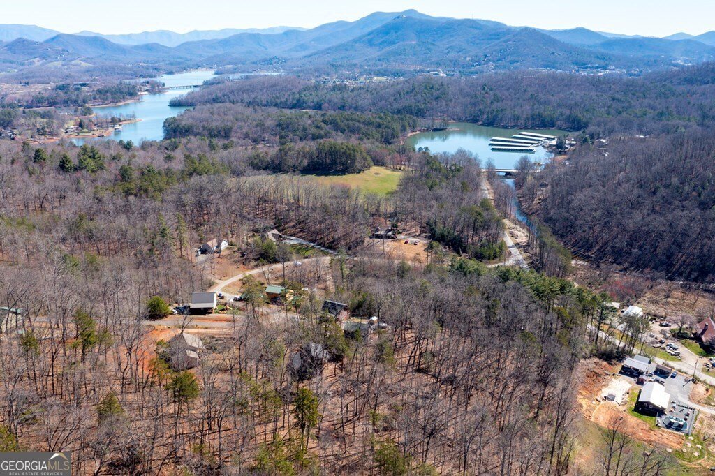 223 Redbud Lane Hiawassee - 40