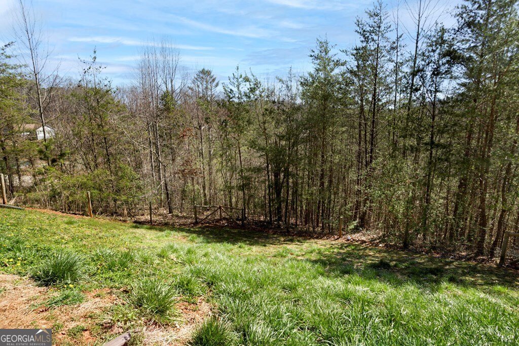 223 Redbud Lane Hiawassee - 42