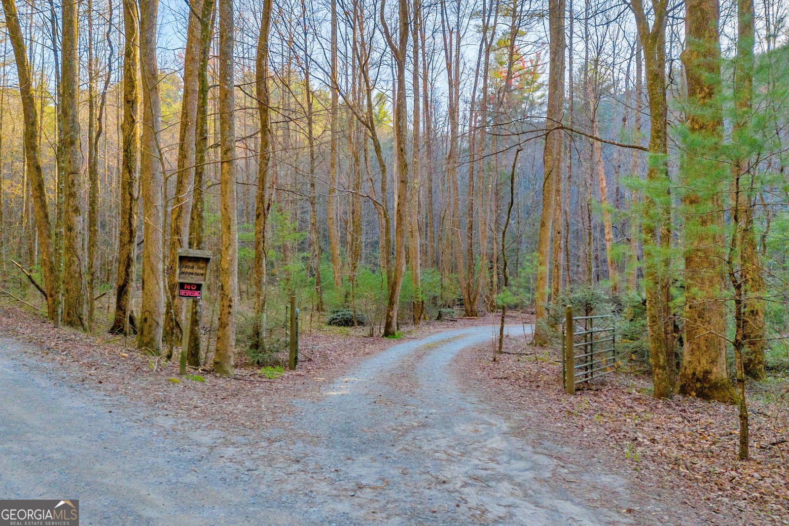740 Little Rock Creek Road Cherry Log - 77