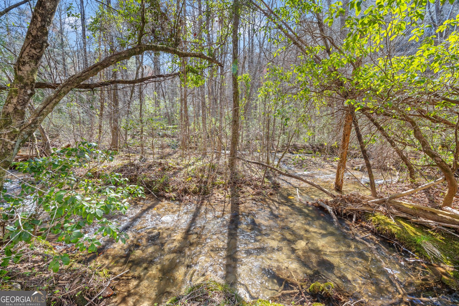 740 Little Rock Creek Road Cherry Log - 78