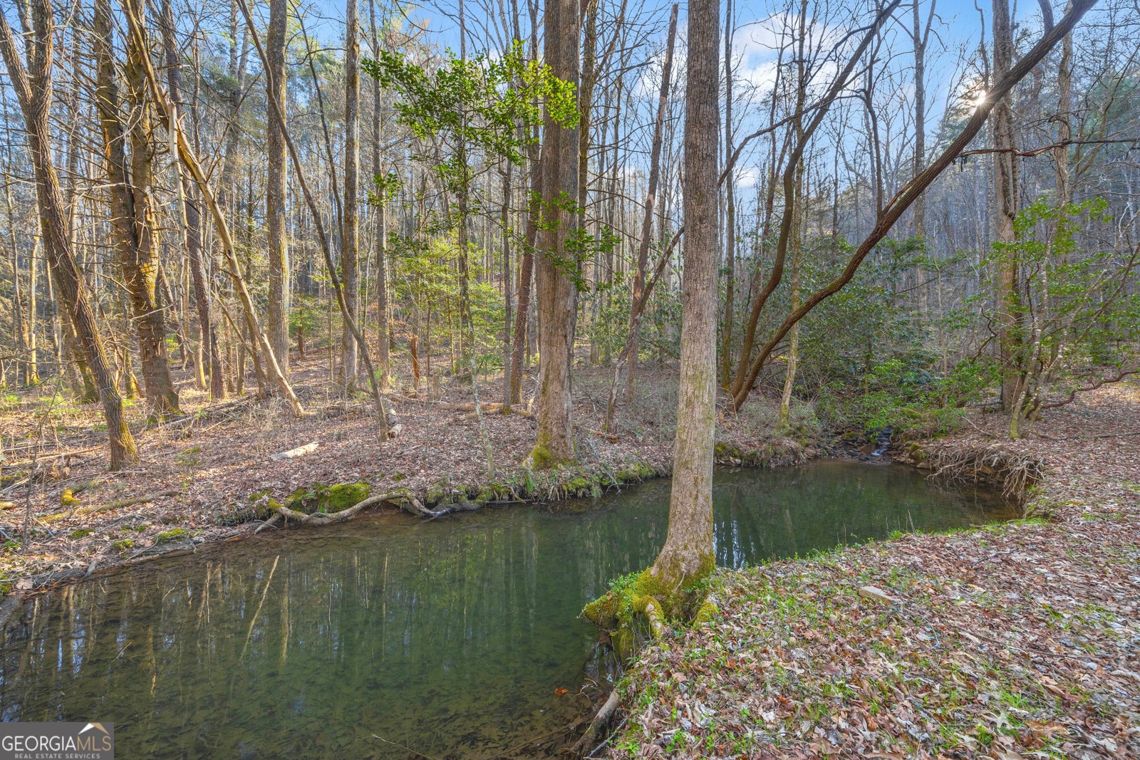 740 Little Rock Creek Road Cherry Log - 84