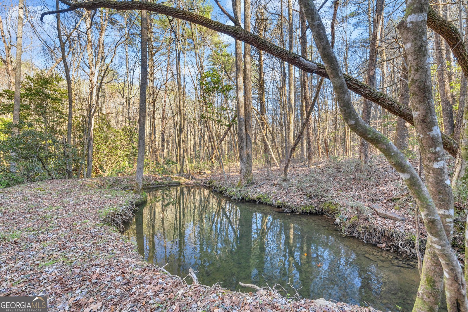 740 Little Rock Creek Road Cherry Log - 87