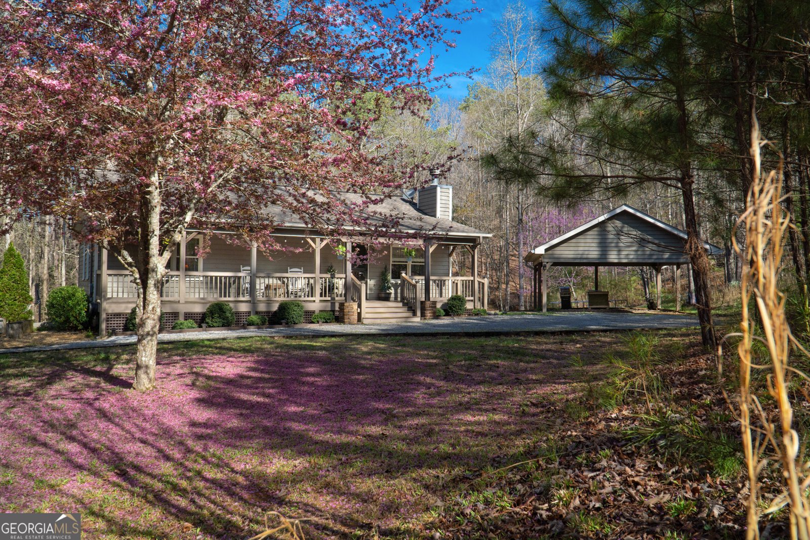 229 Darian Way Ellijay - 1