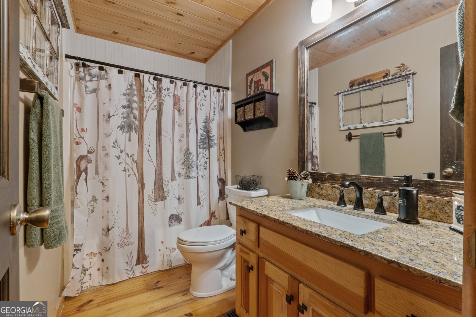 229 Darian Way Ellijay - 14