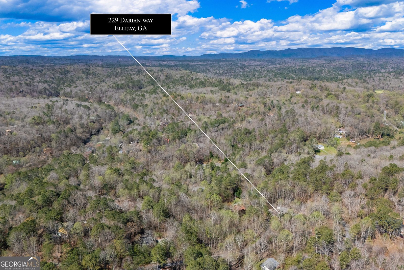 229 Darian Way Ellijay - 25