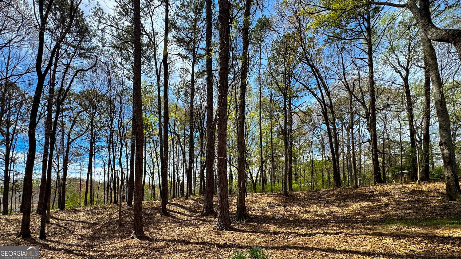 5035 Old West Point Road Lagrange - 3