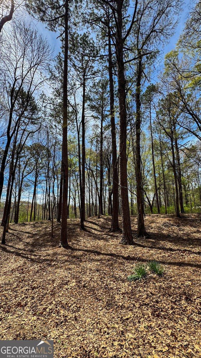 5035 Old West Point Road Lagrange - 4