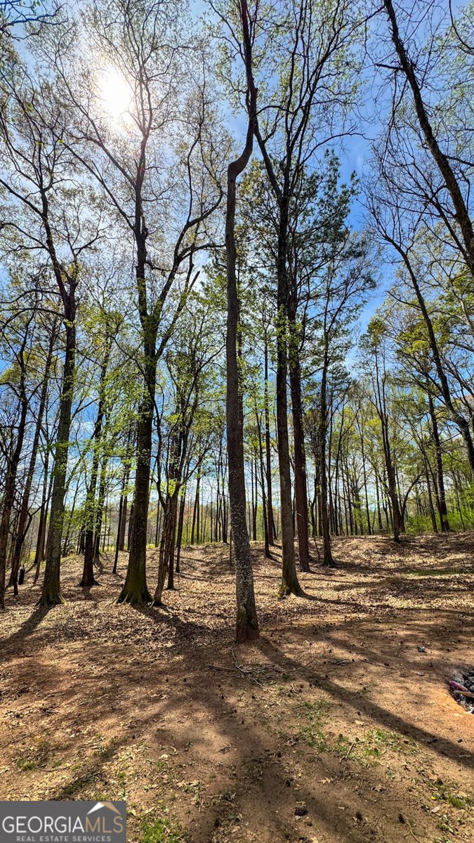 5035 Old West Point Road Lagrange - 5