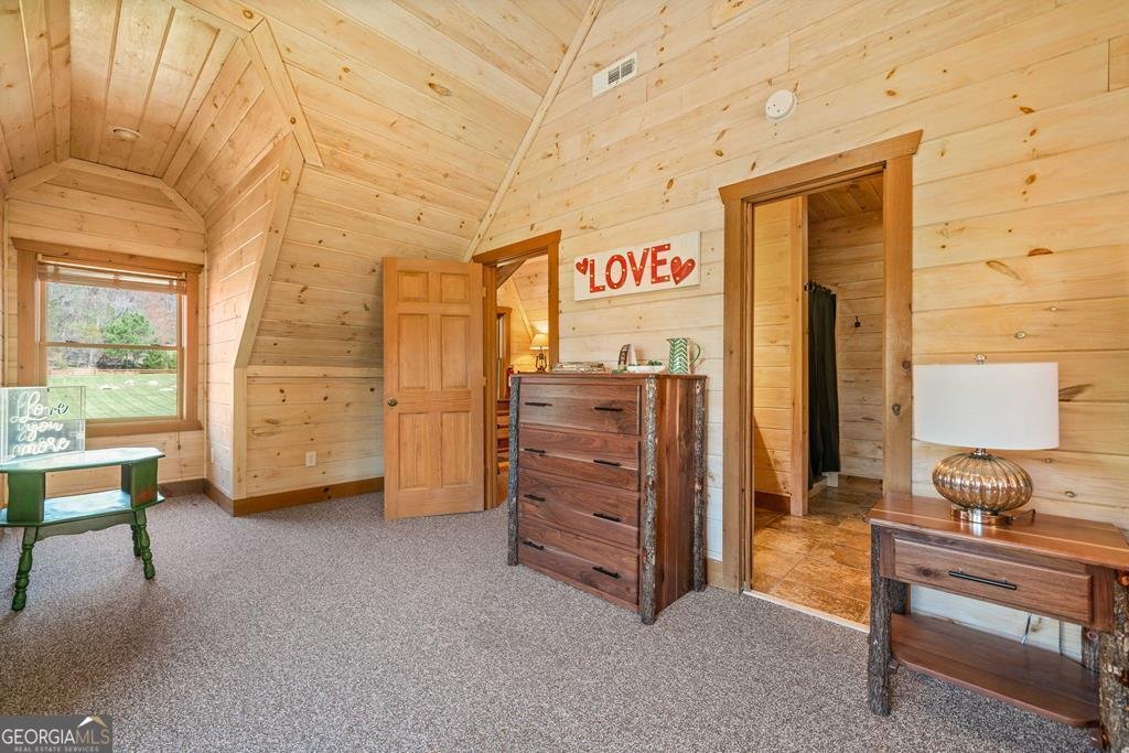311 Bailey Farm Lane Mineral Bluff - 18