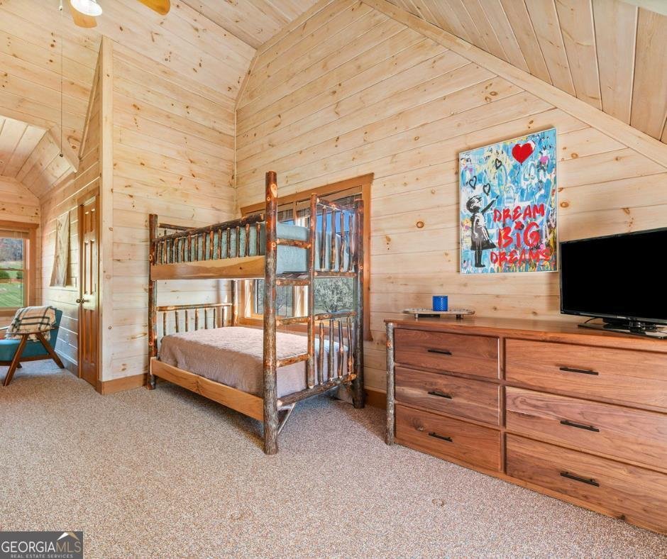 311 Bailey Farm Lane Mineral Bluff - 24