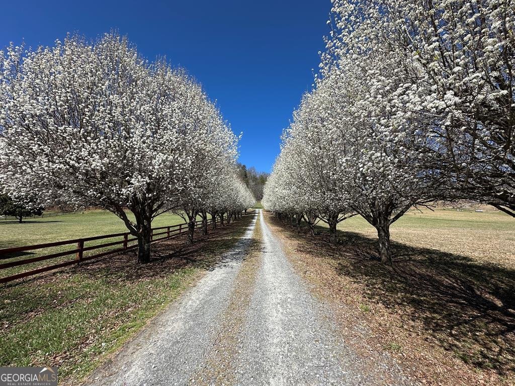 311 Bailey Farm Lane Mineral Bluff - 31