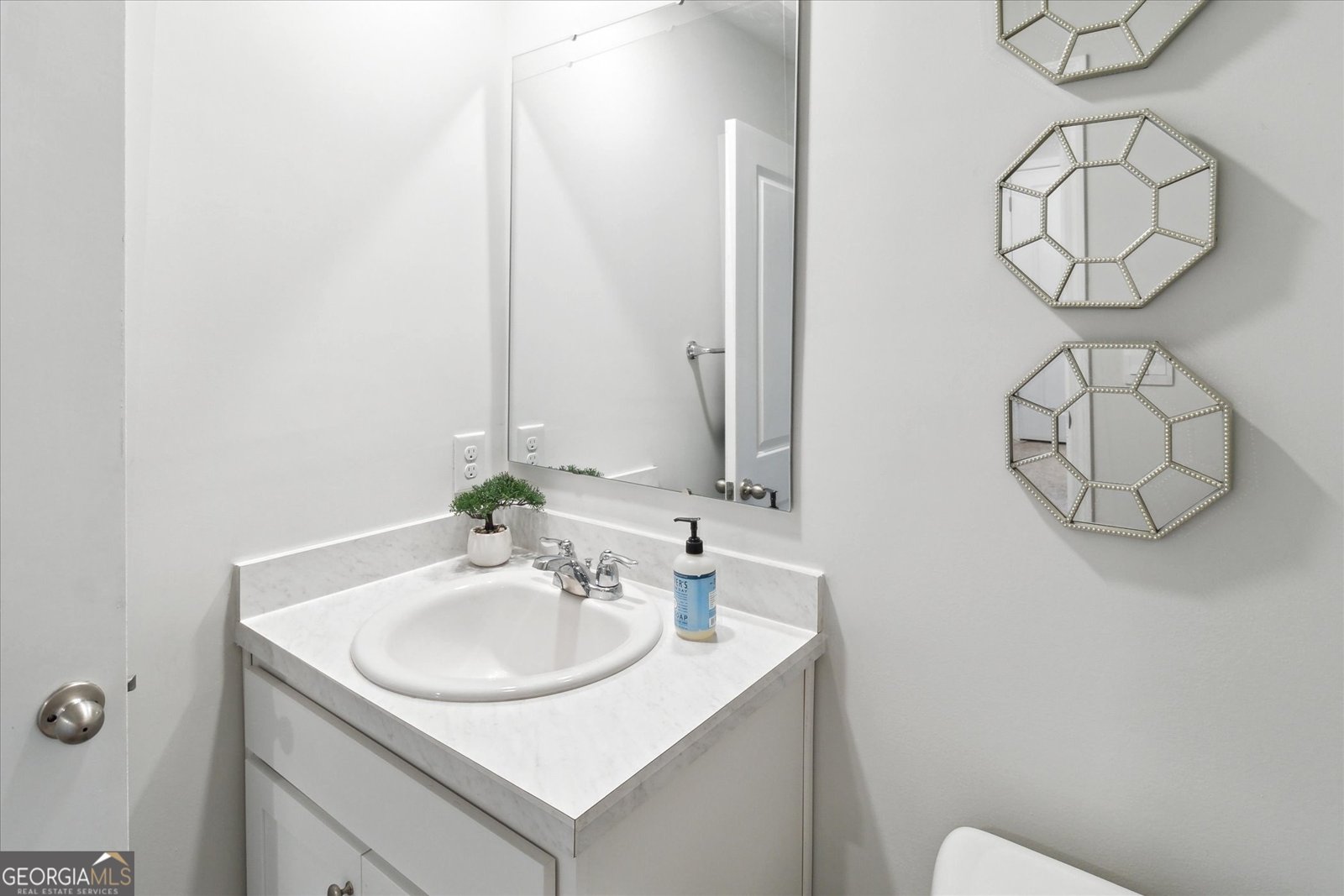 443 Salvia Road Bloomingdale - 24