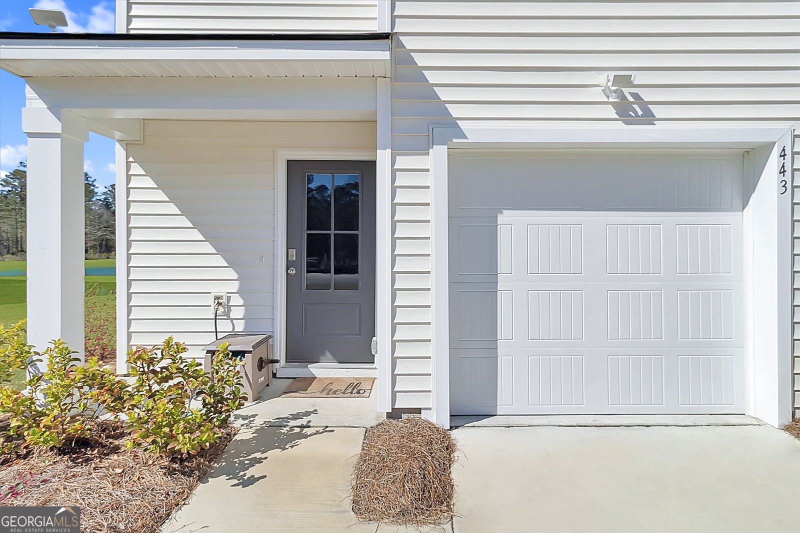 443 Salvia Road Bloomingdale - 3
