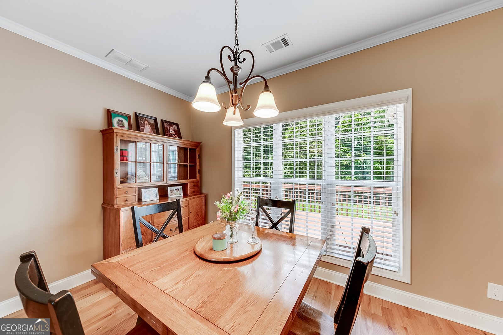885 Brooks Road Pendergrass - 15