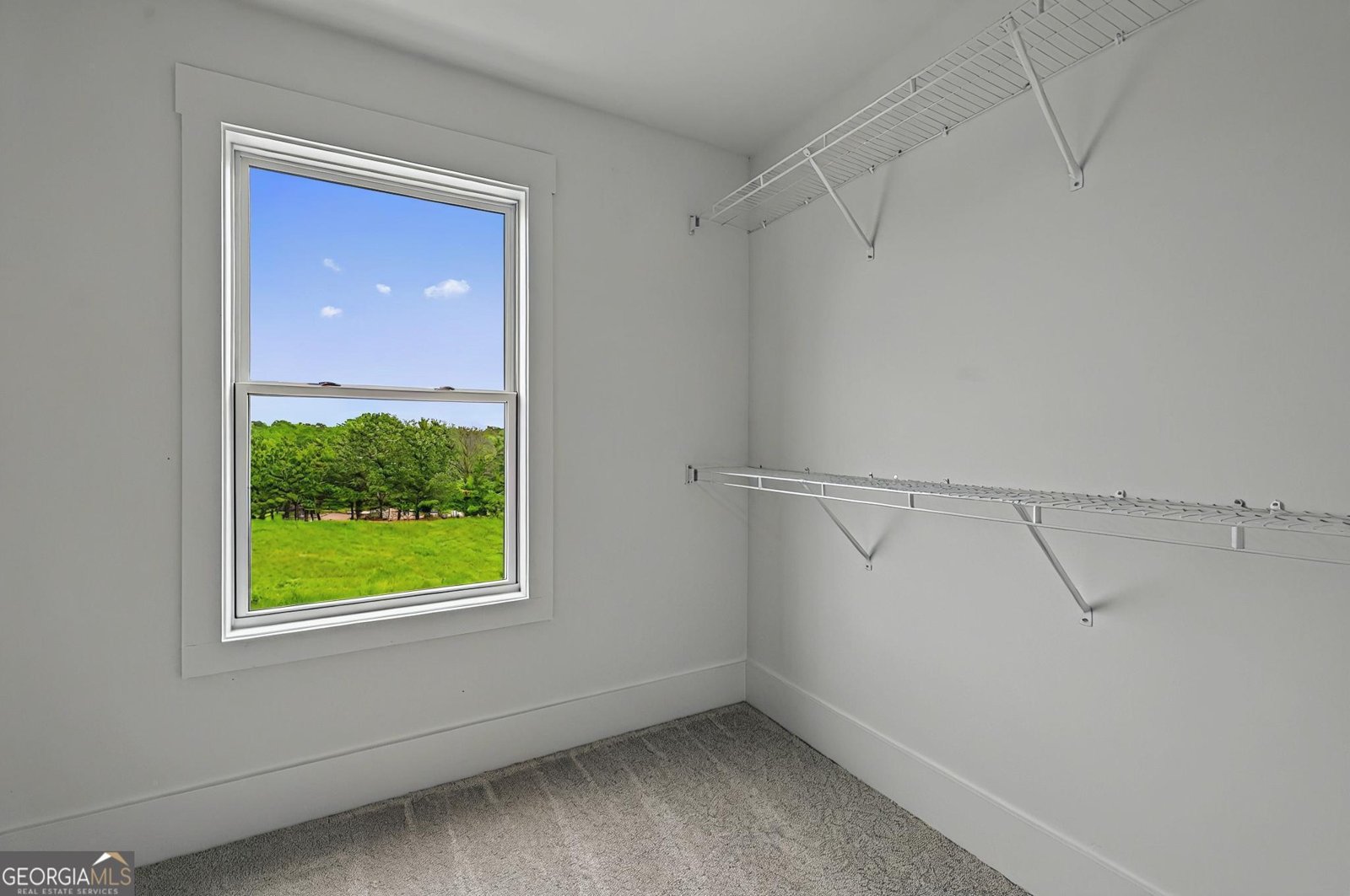 152 Blue Rider Trail Hoschton - 36