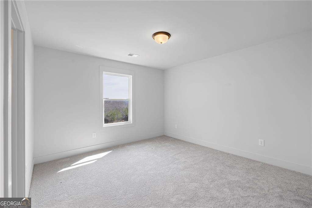 115 Blue Rider Trail Hoschton - 28